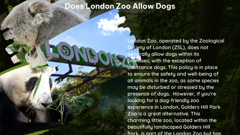 Does london zoo allow dogs