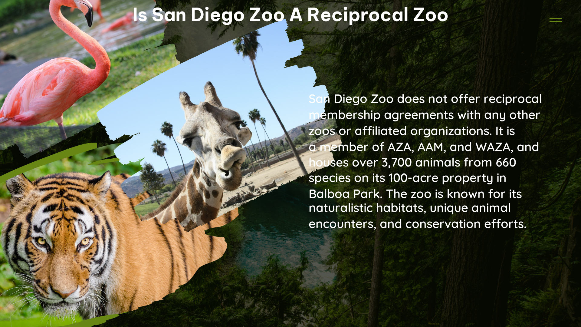 Is San Diego Zoo a reciprocal Zoo
