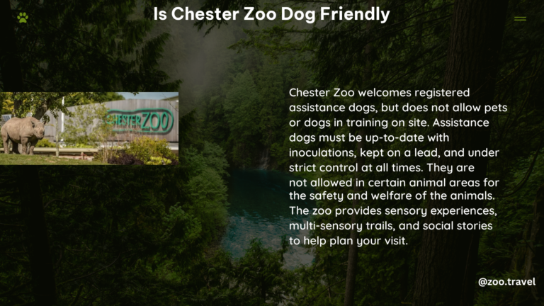 Is chester zoo dog friendly