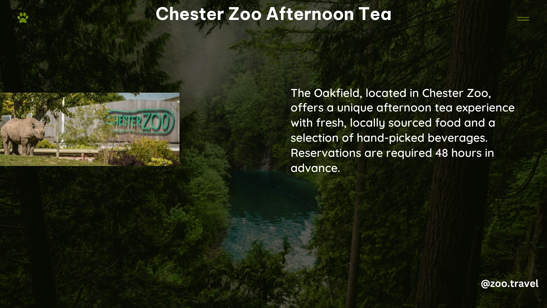 chester zoo afternoon tea