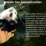 chester zoo apprenticeships