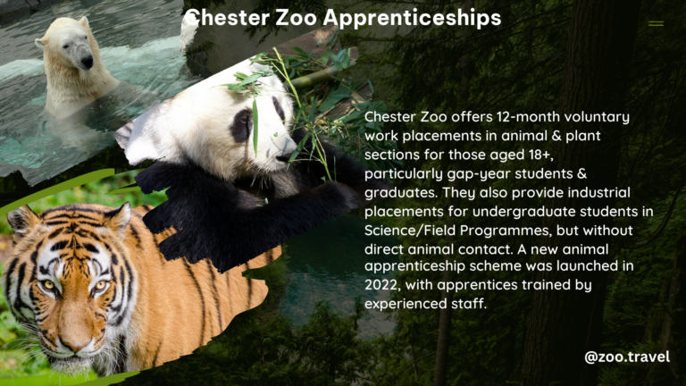 chester zoo apprenticeships