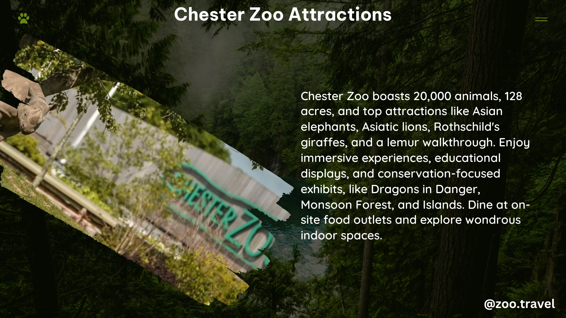 chester zoo attractions