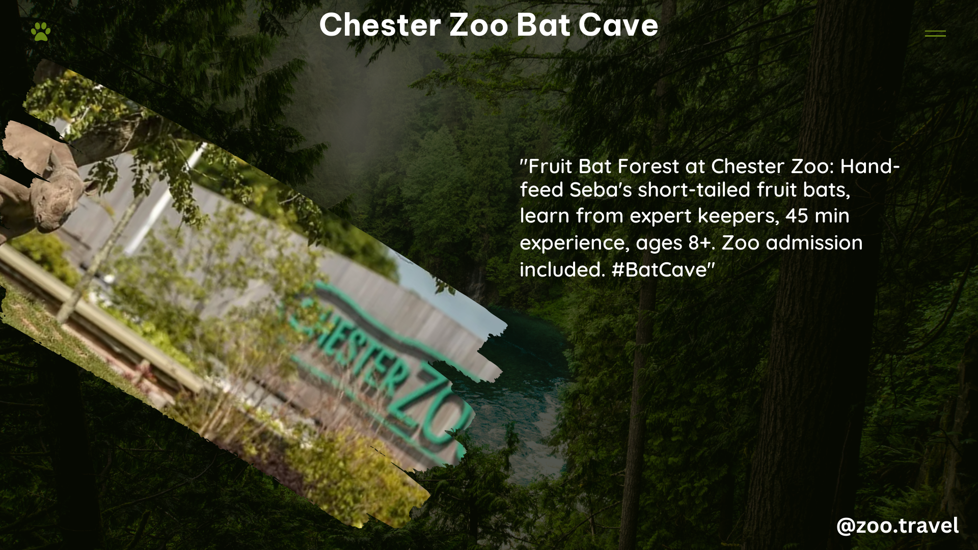 chester zoo bat cave