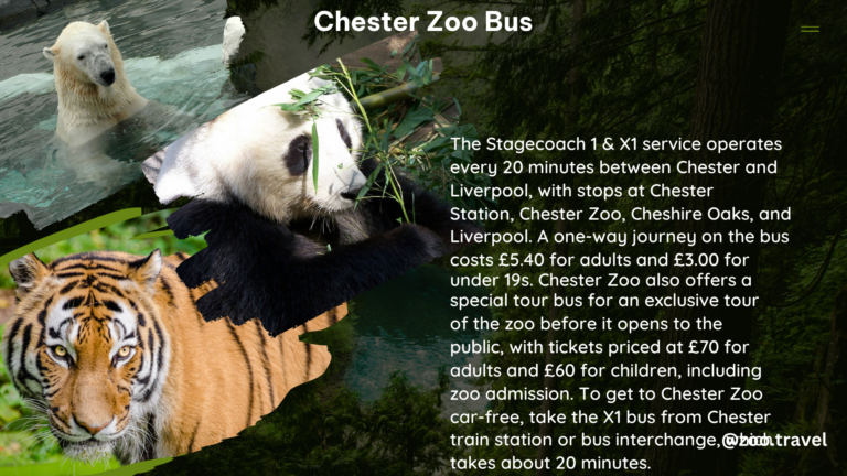 chester zoo bus