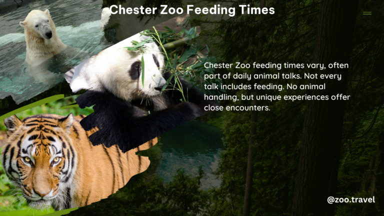 chester zoo feeding times