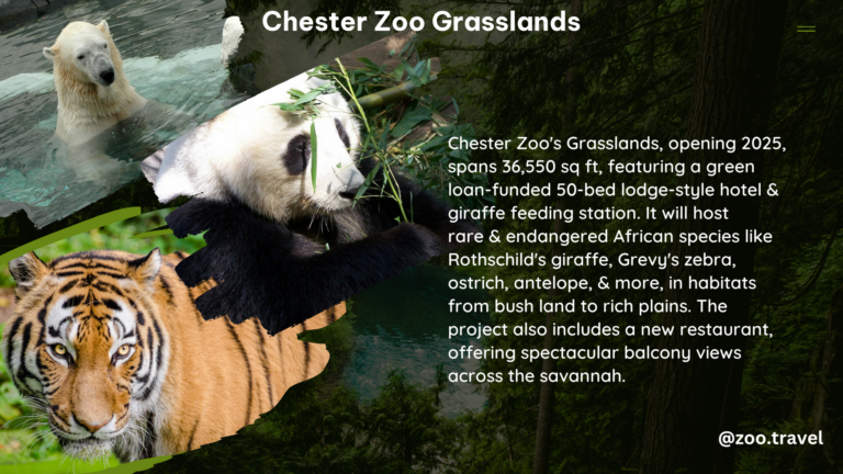 chester zoo grasslands