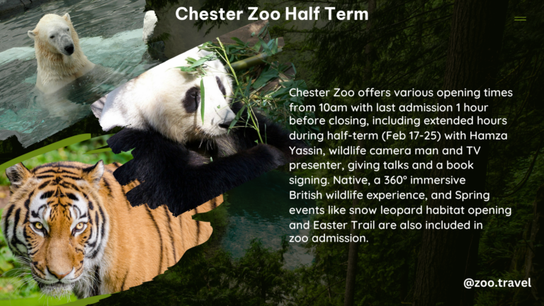 chester zoo half term