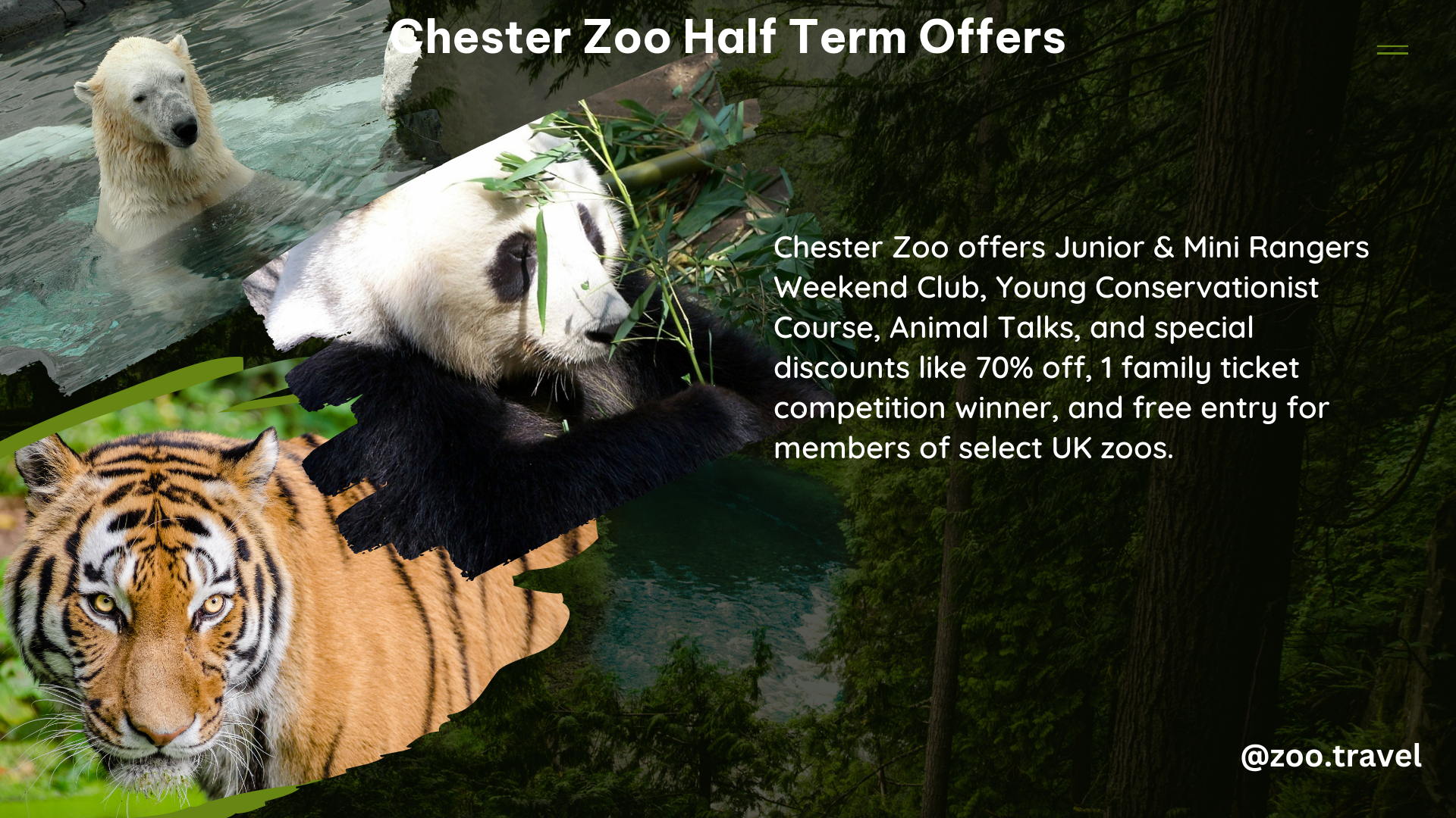 chester zoo half term offers