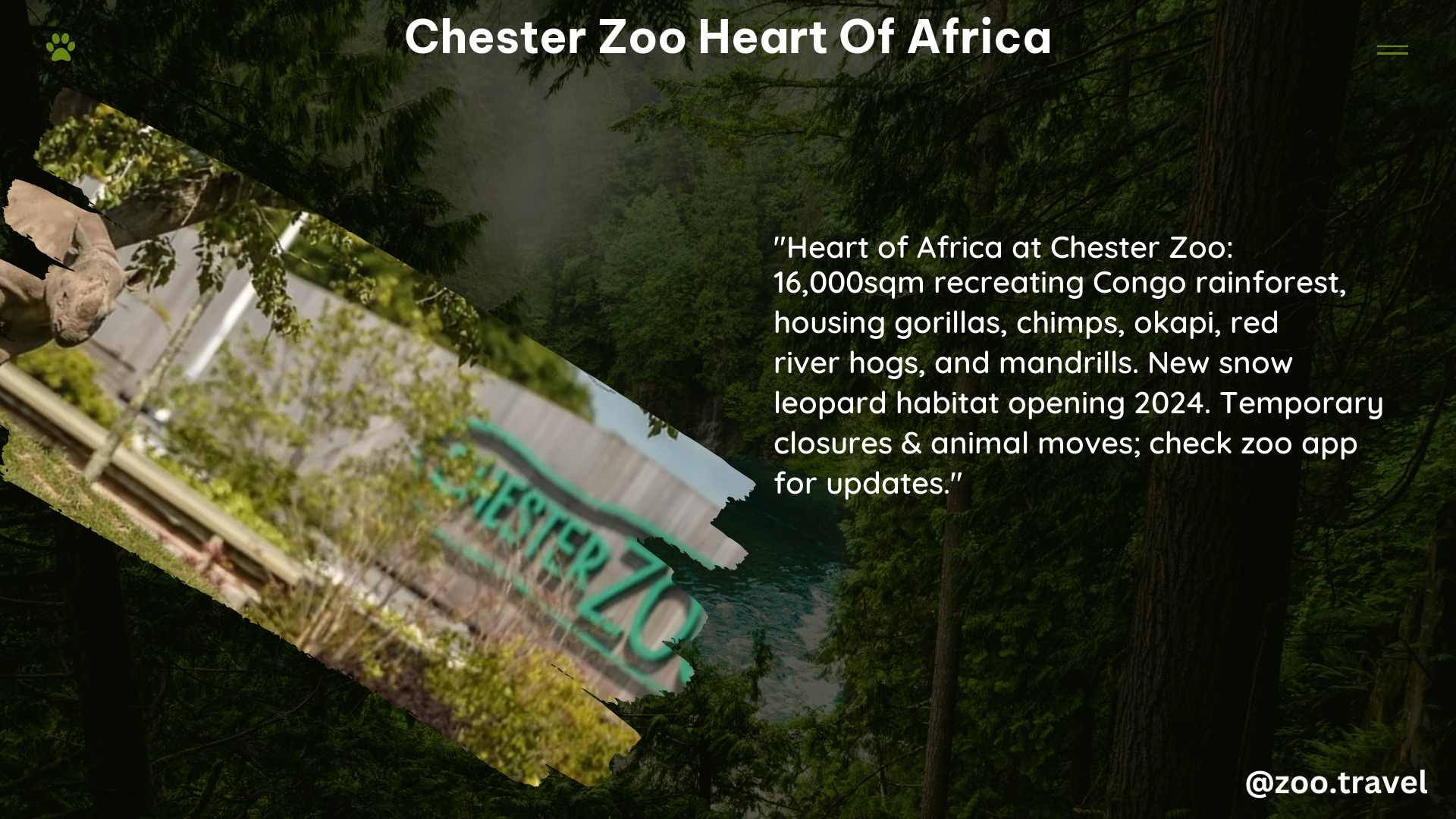 chester zoo heart of africa