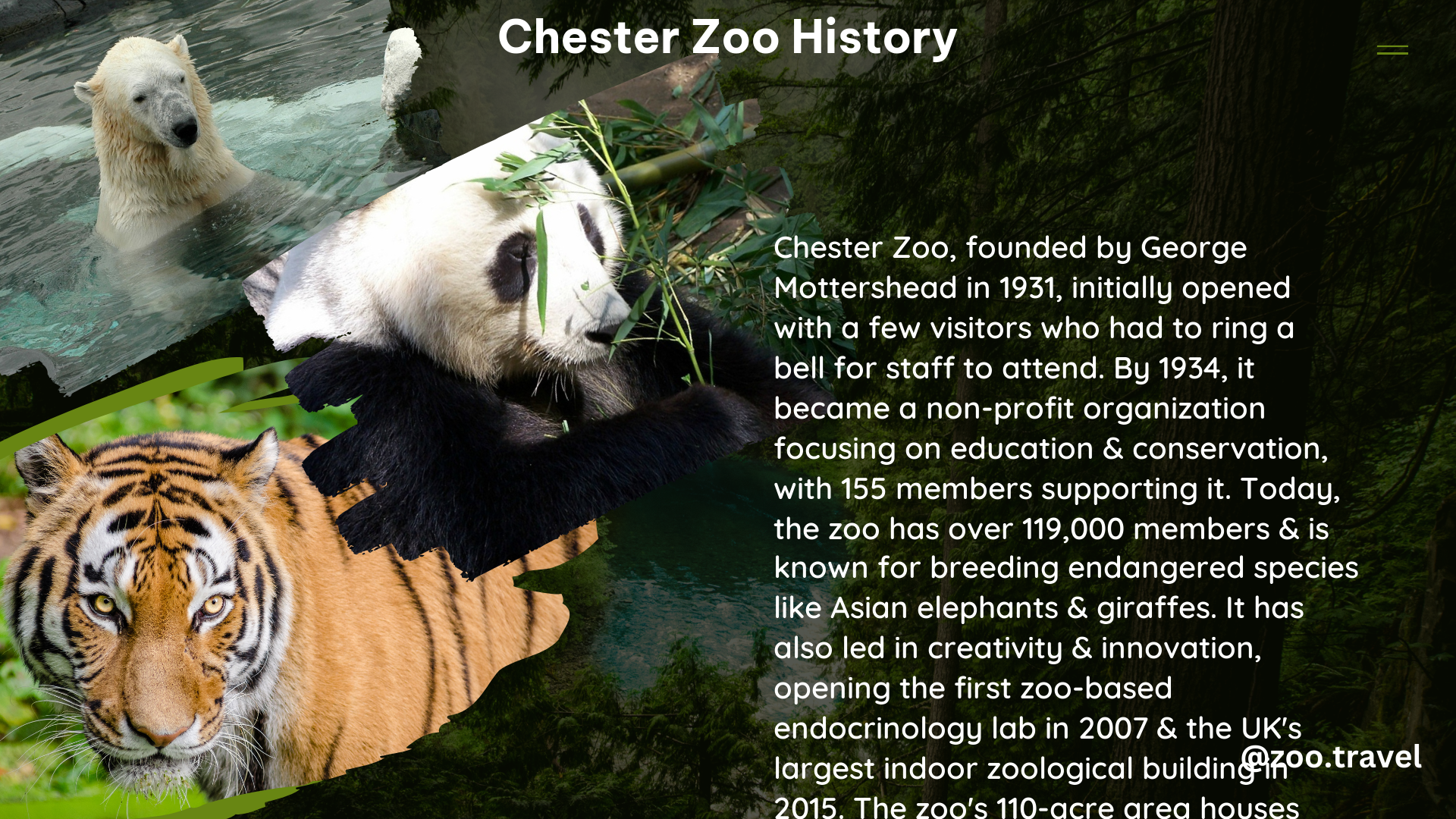 chester zoo history