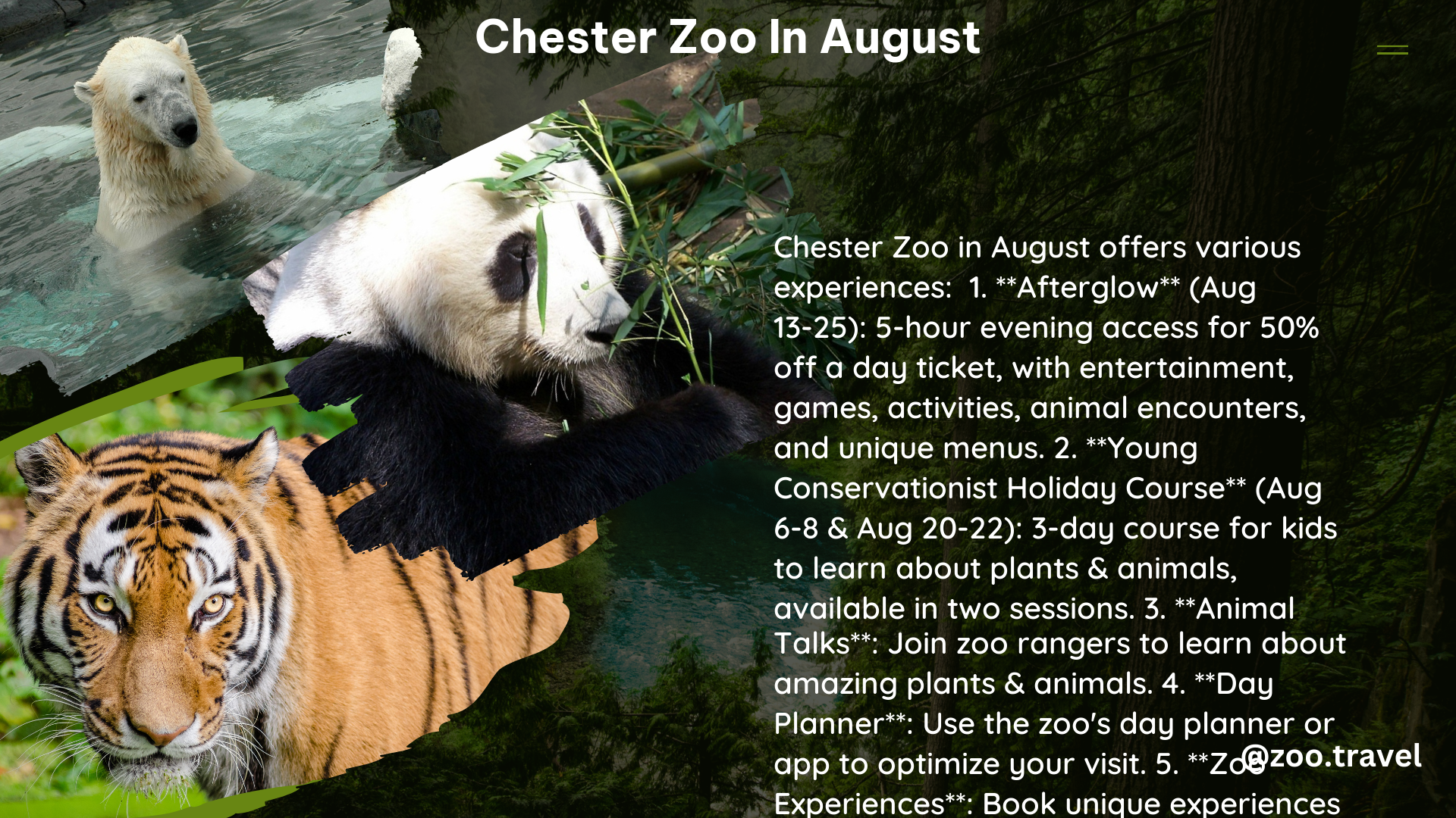 chester zoo in August