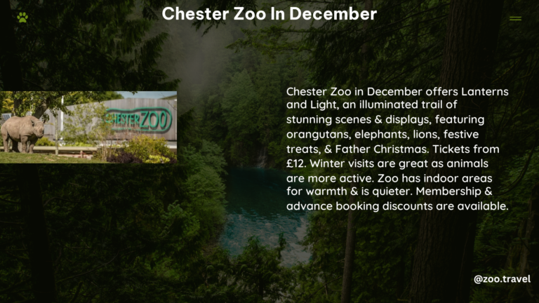 chester zoo in December