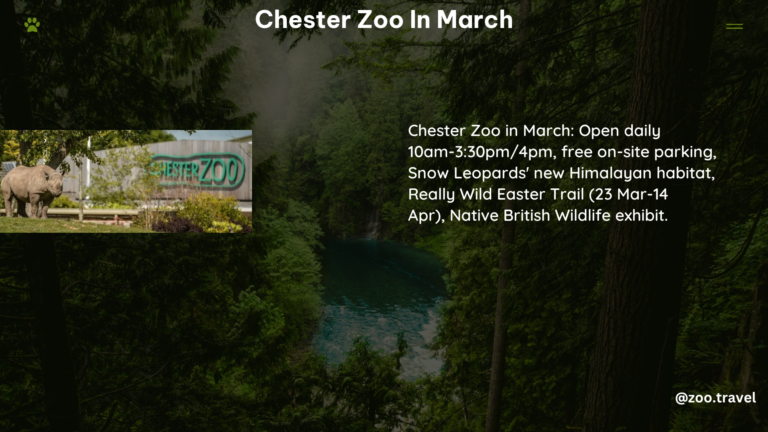 chester zoo in March