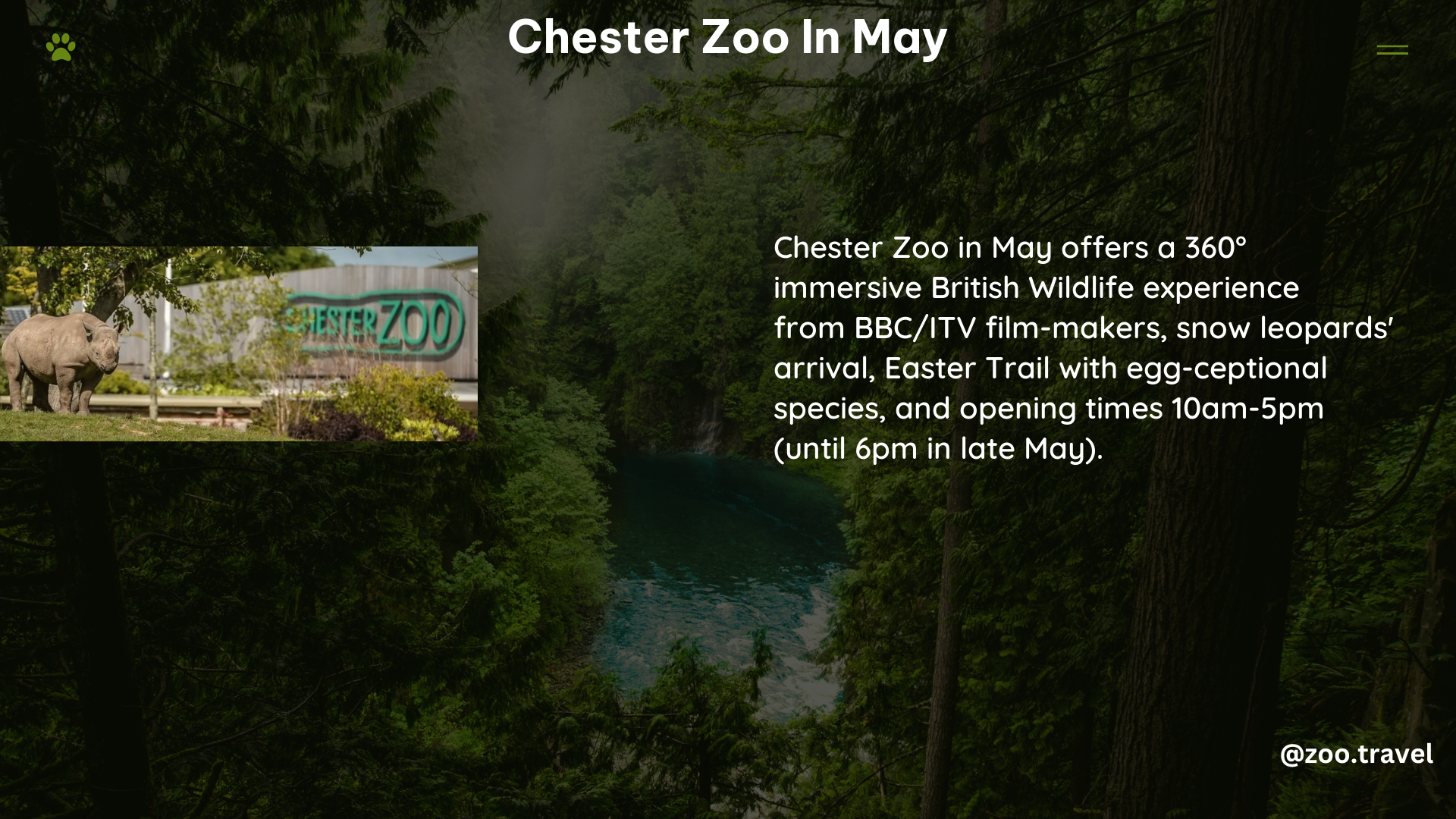 chester zoo in May