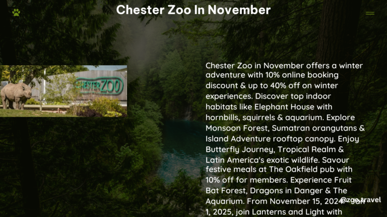 chester zoo in November