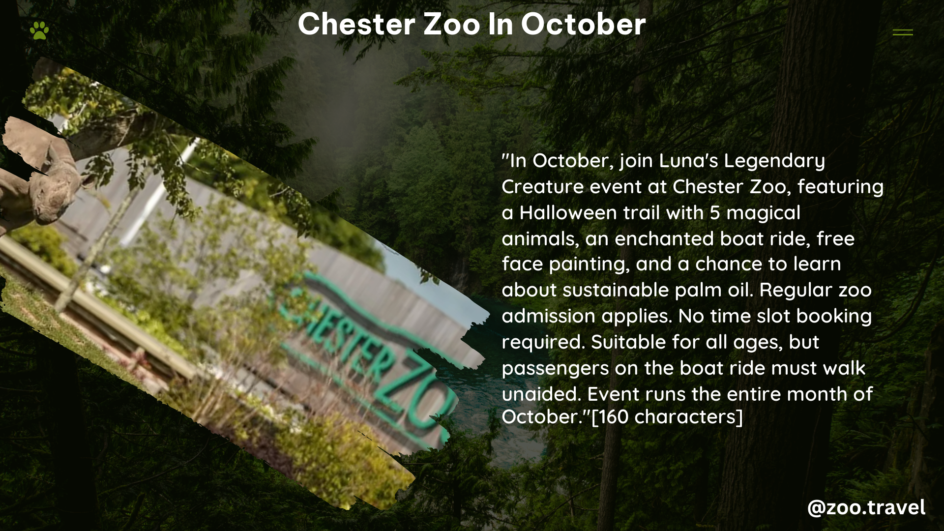 chester zoo in October