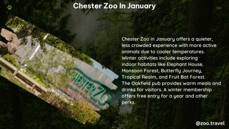 chester zoo in january