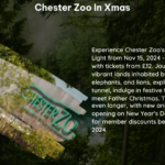 chester zoo in xmas