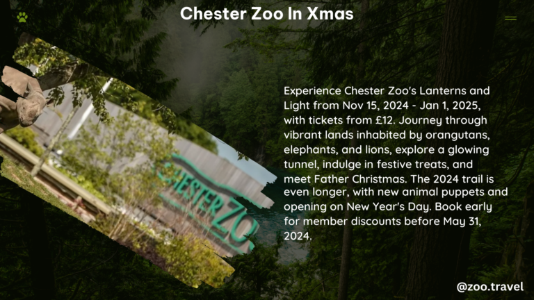 chester zoo in xmas