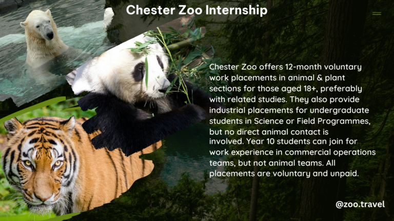 chester zoo internship