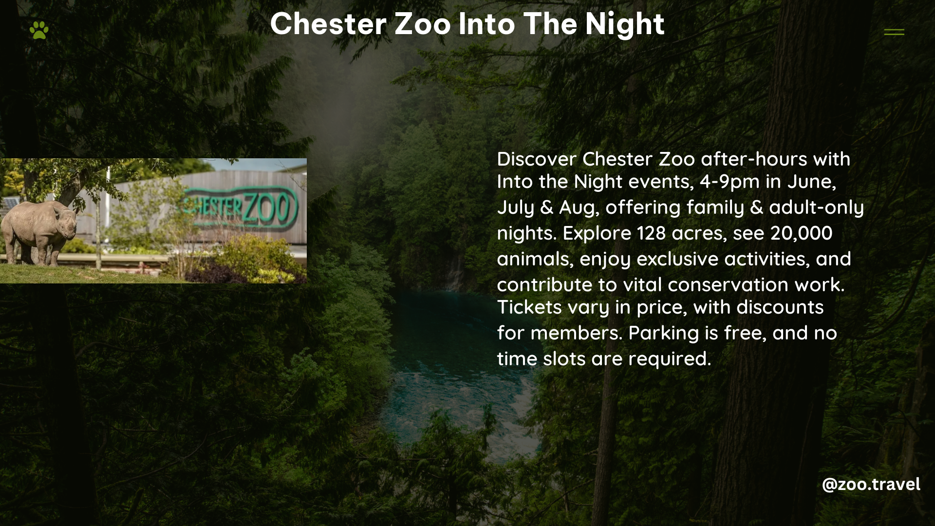 chester zoo into the night