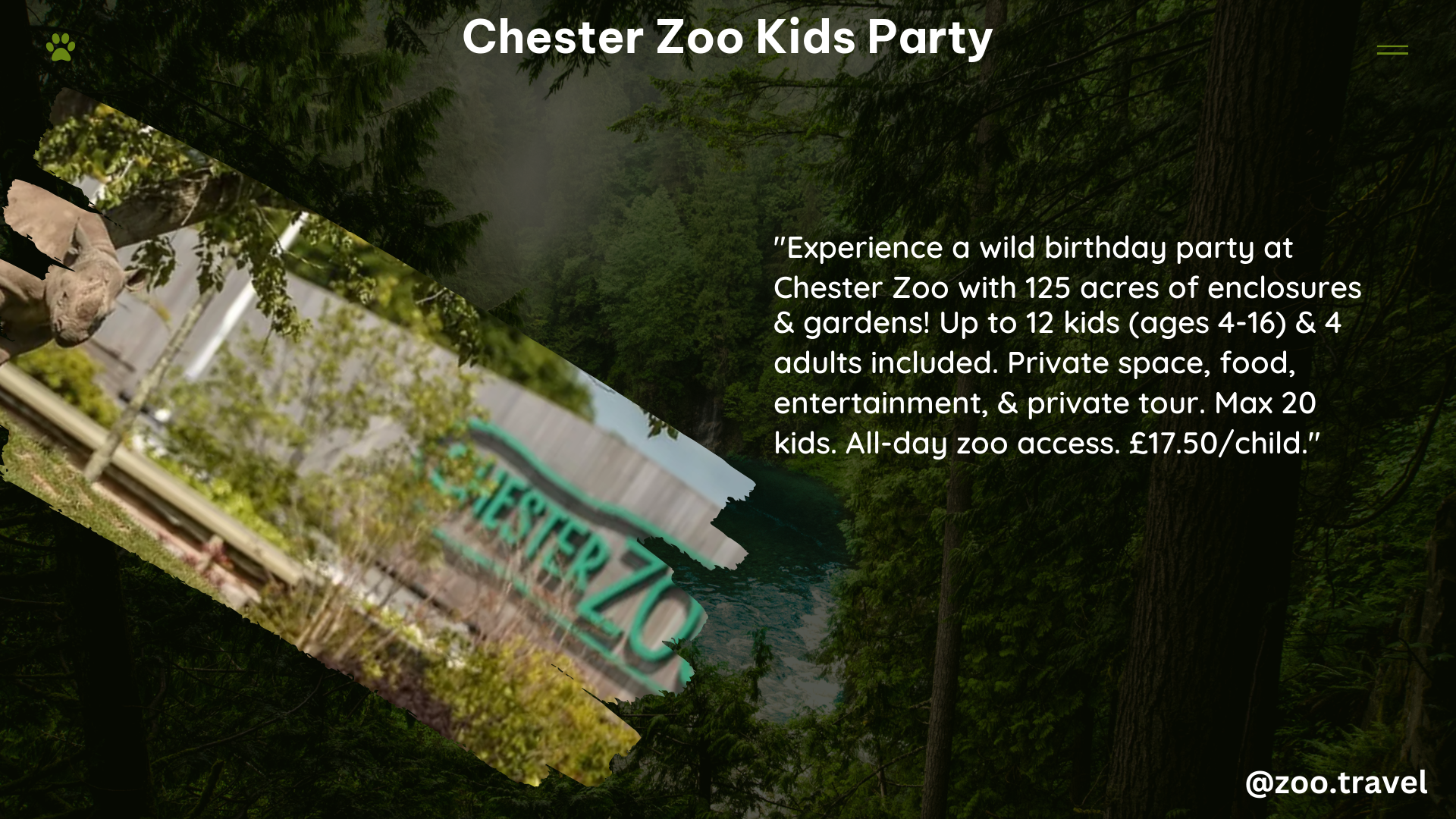 chester zoo kids party