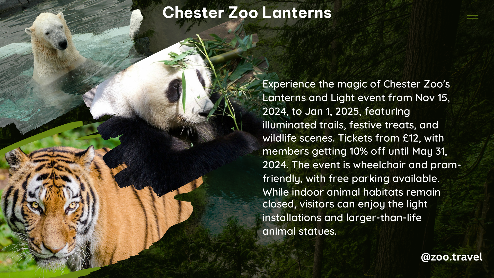 chester zoo lanterns