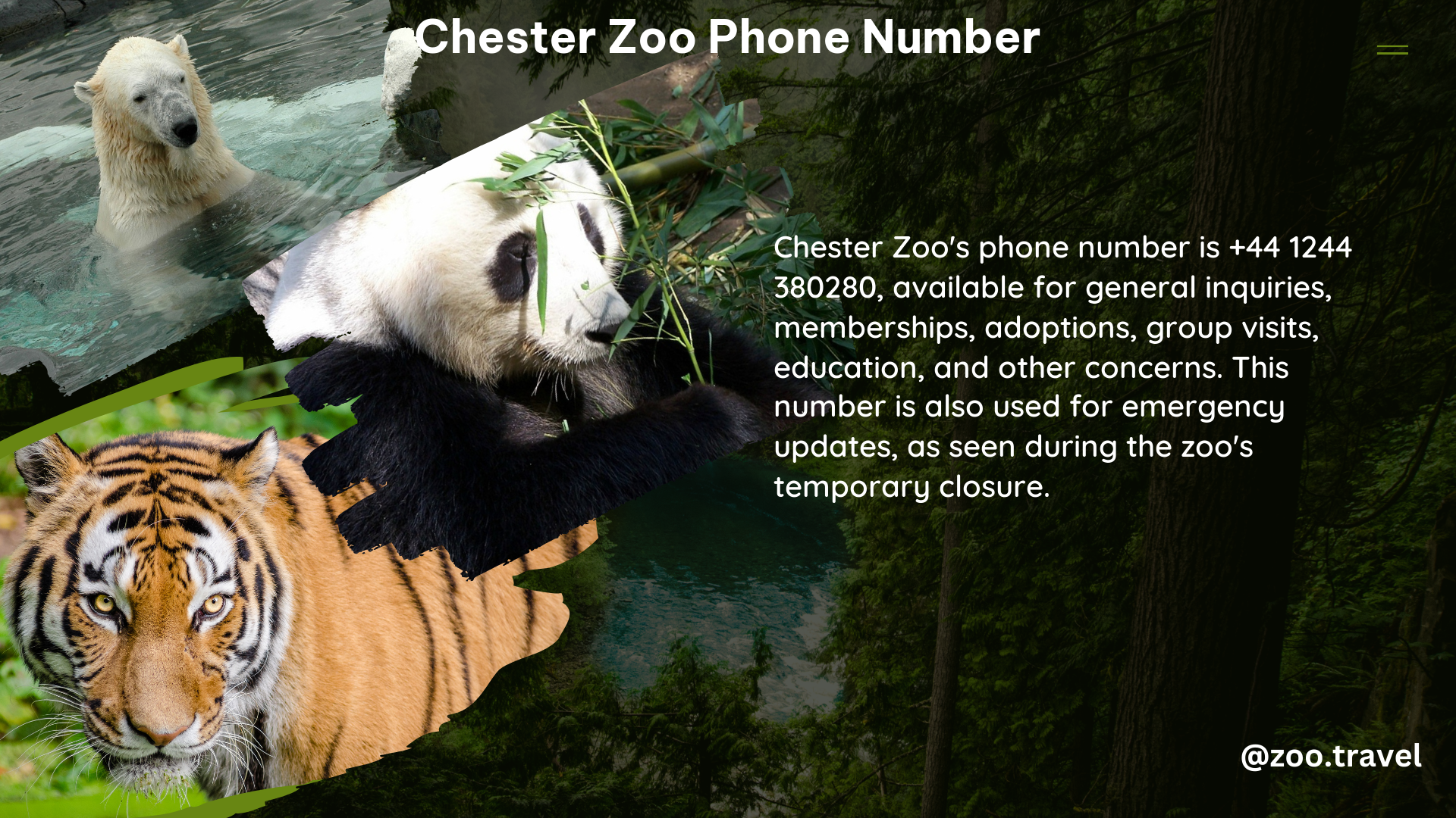 chester zoo phone number