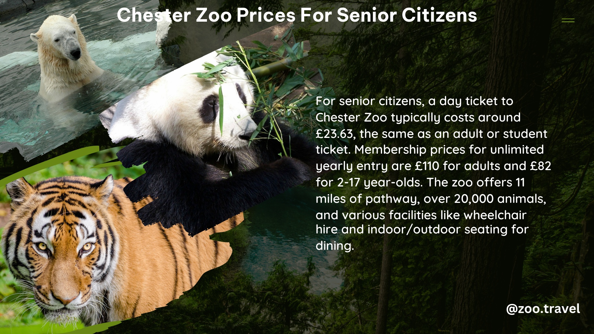 chester zoo prices for senior citizens