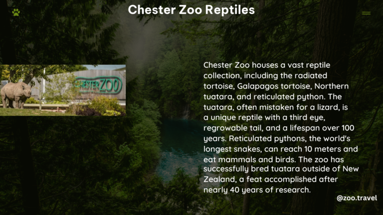 chester zoo reptiles