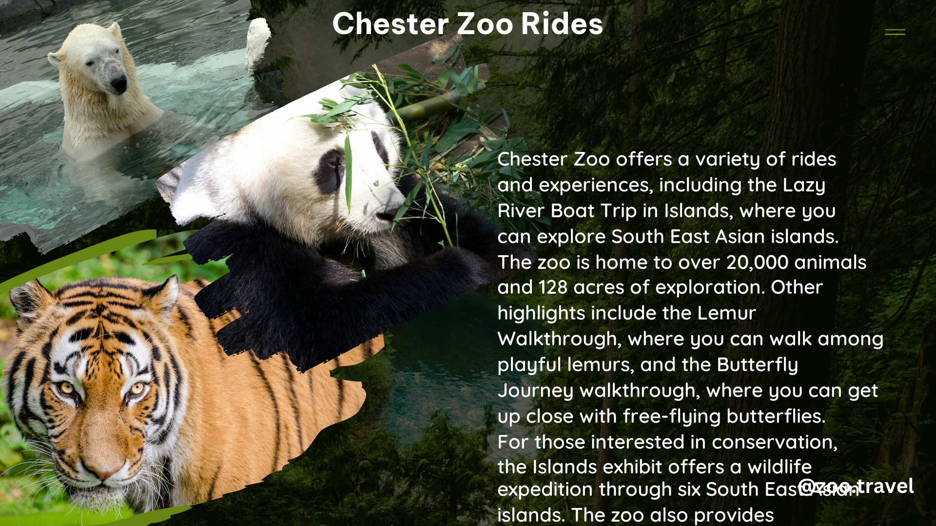 chester zoo rides