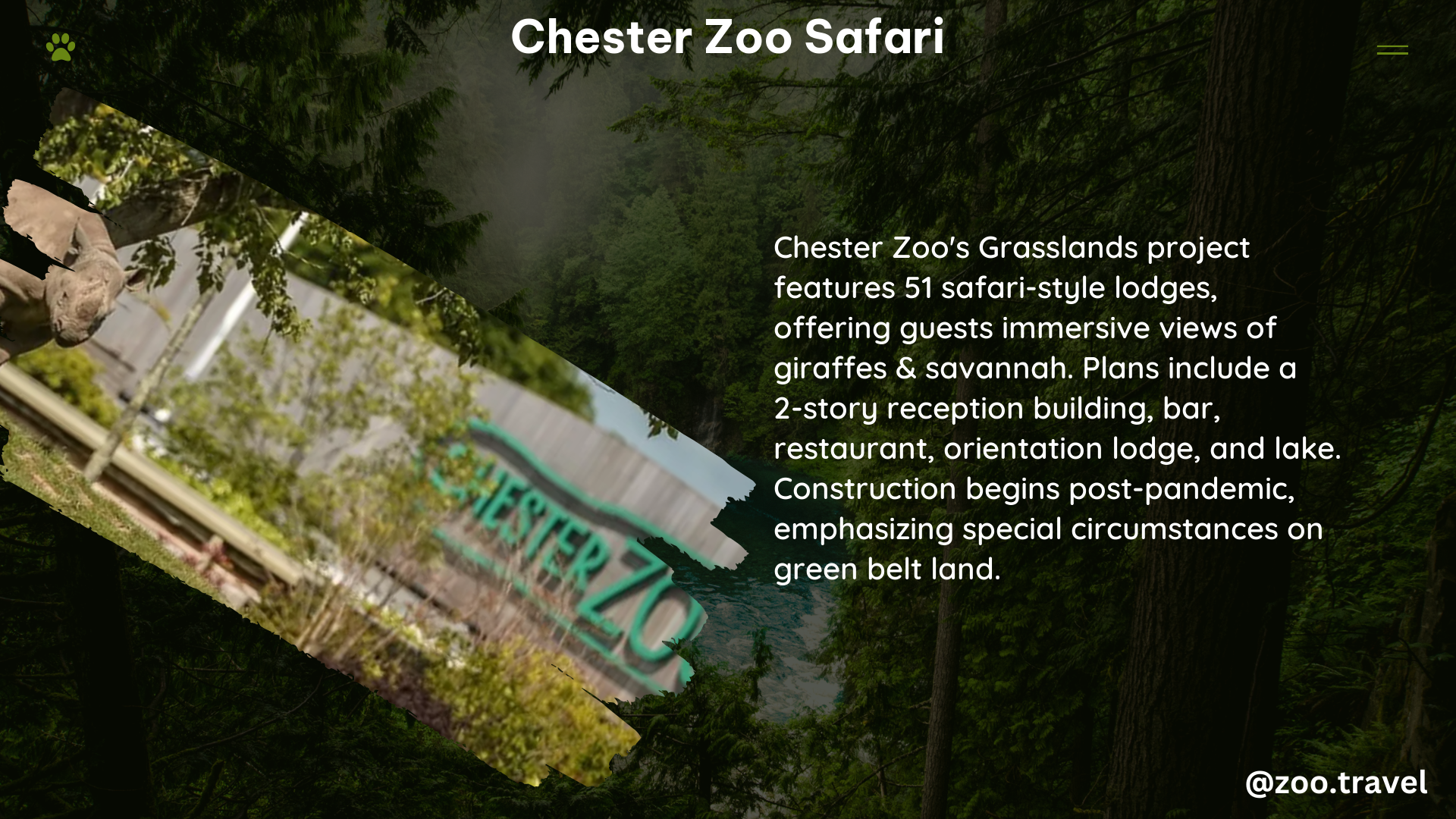 chester zoo safari