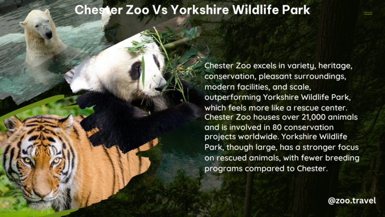 chester zoo vs yorkshire wildlife park