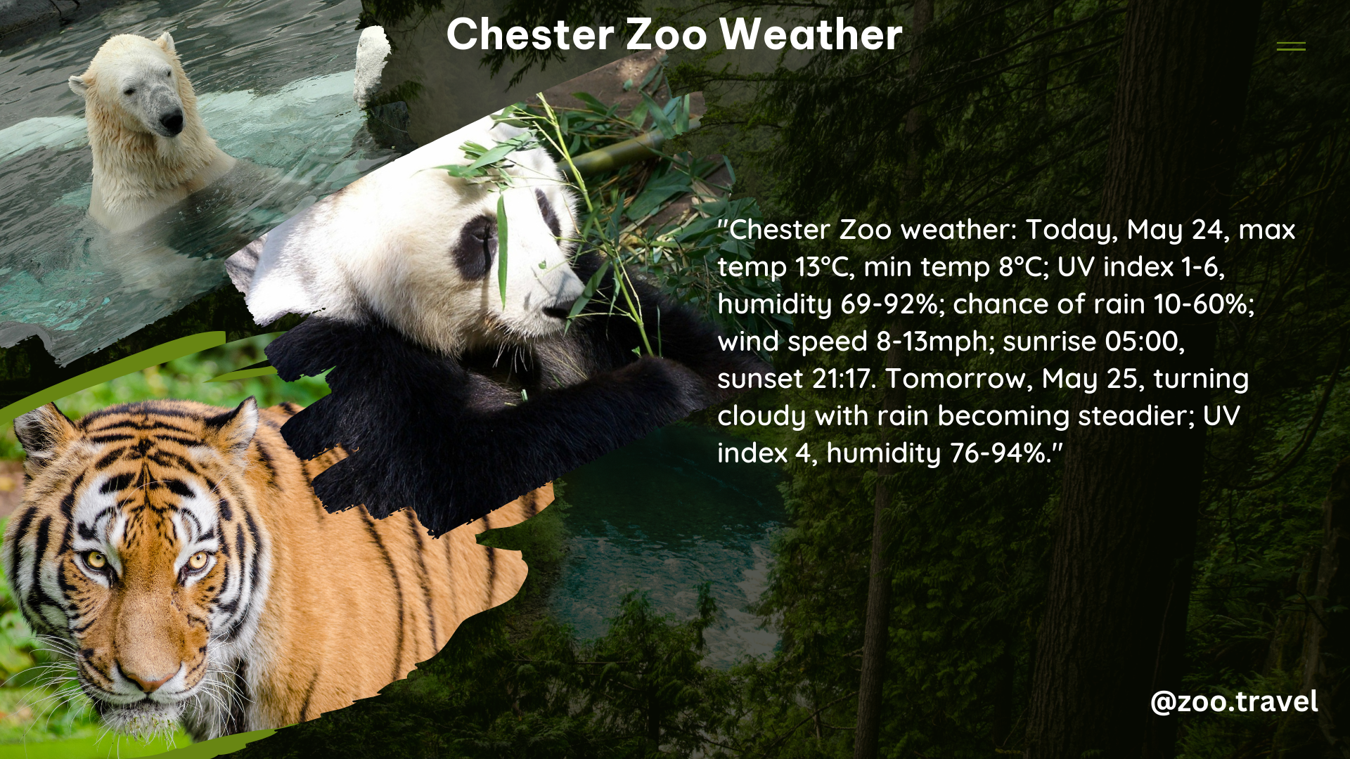 chester zoo weather