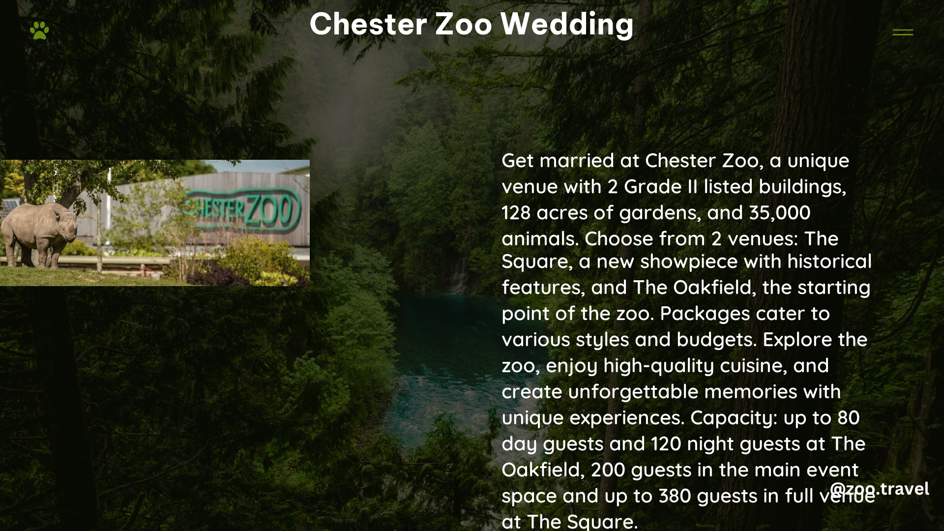 chester zoo wedding