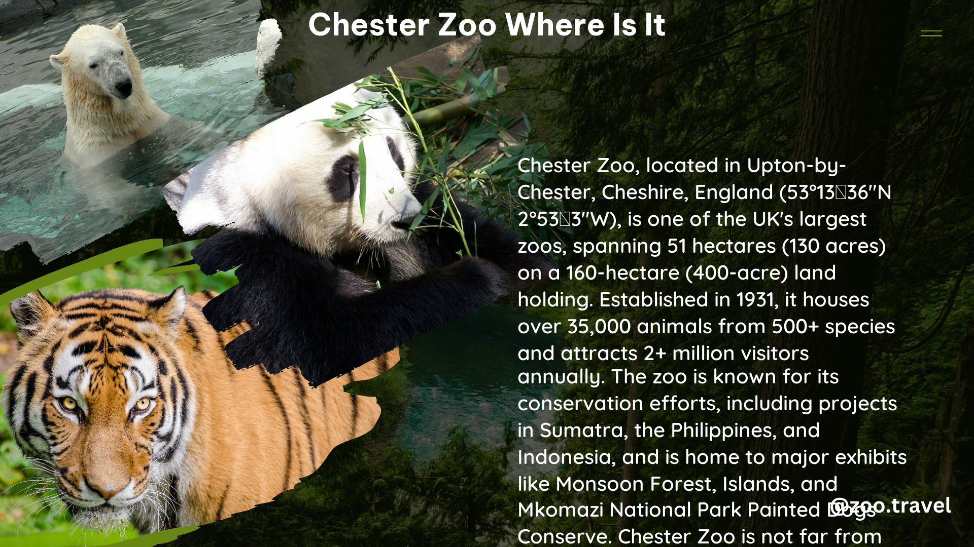 chester zoo where is it