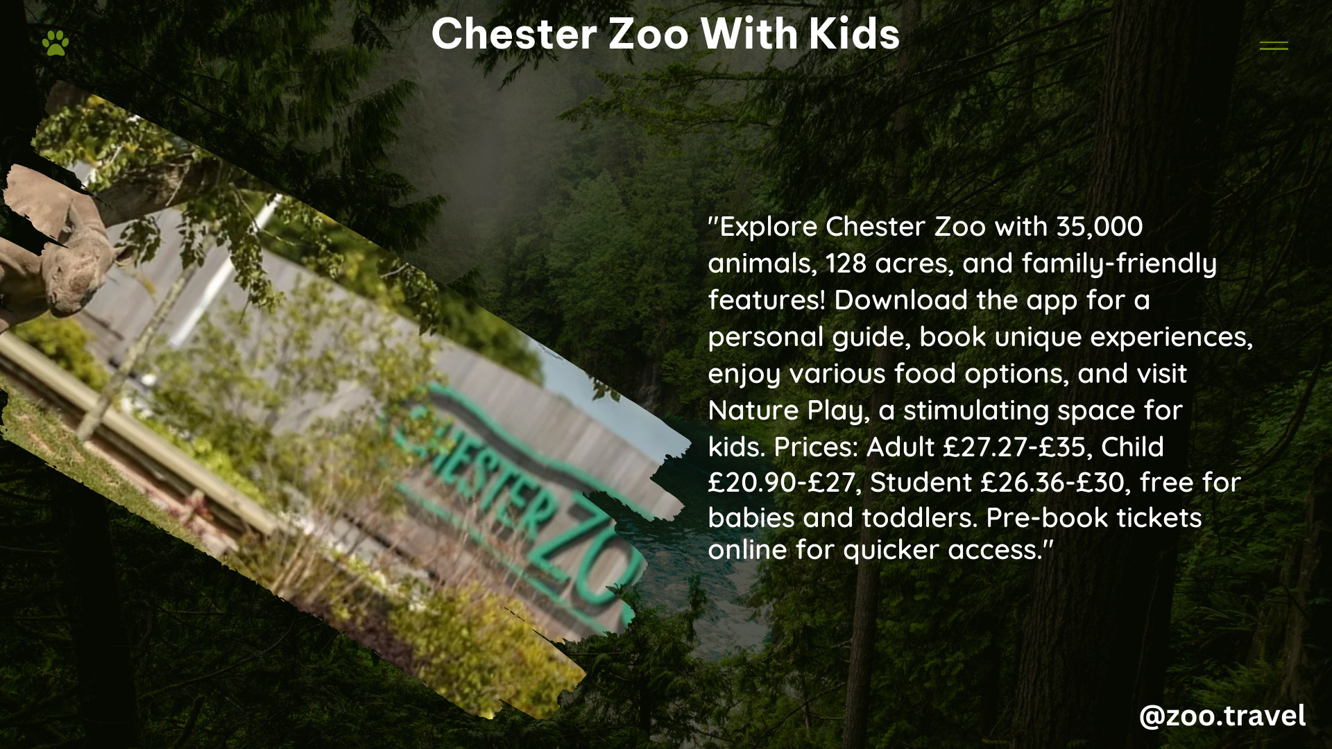 chester zoo with kids