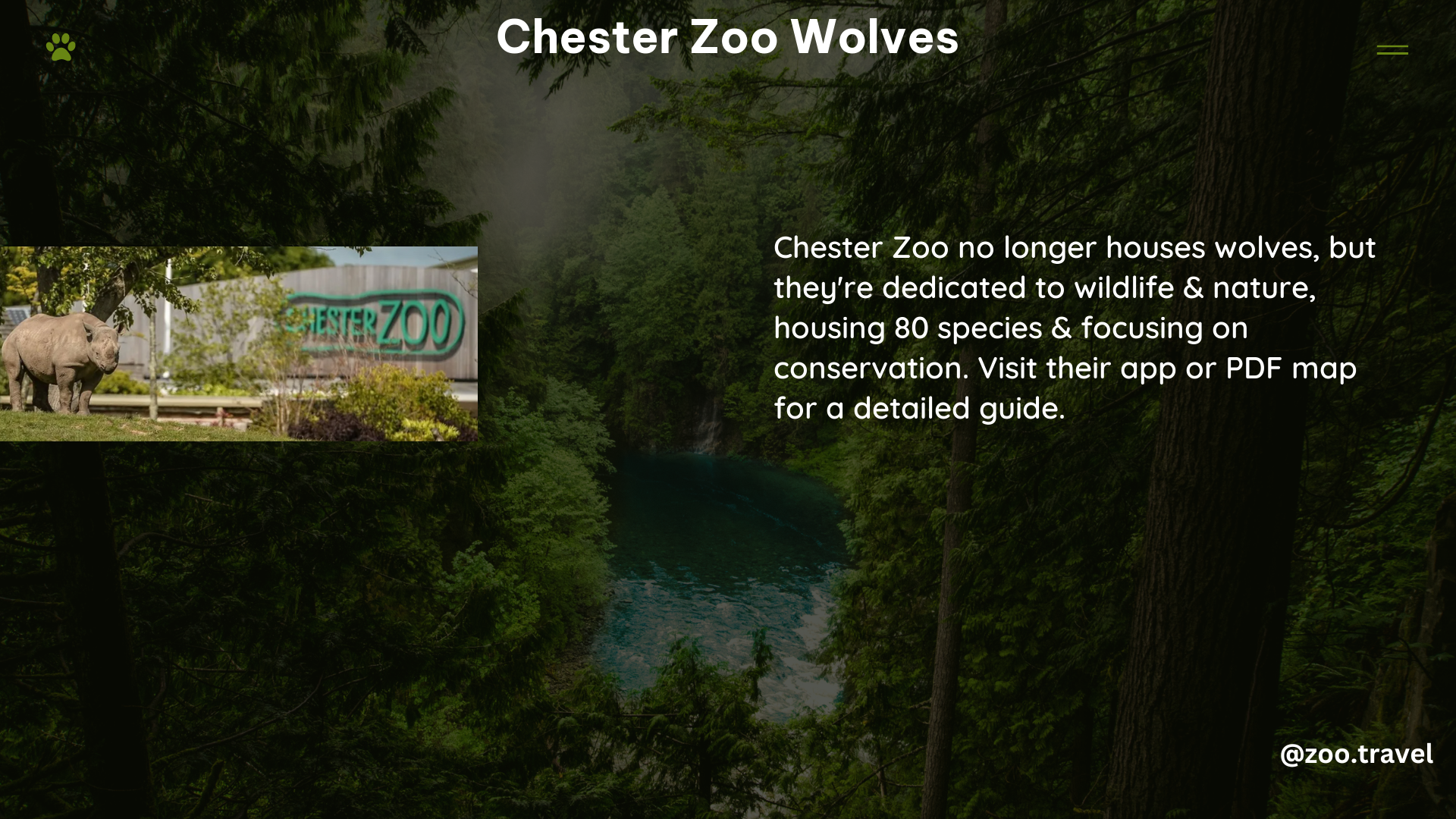 chester zoo wolves