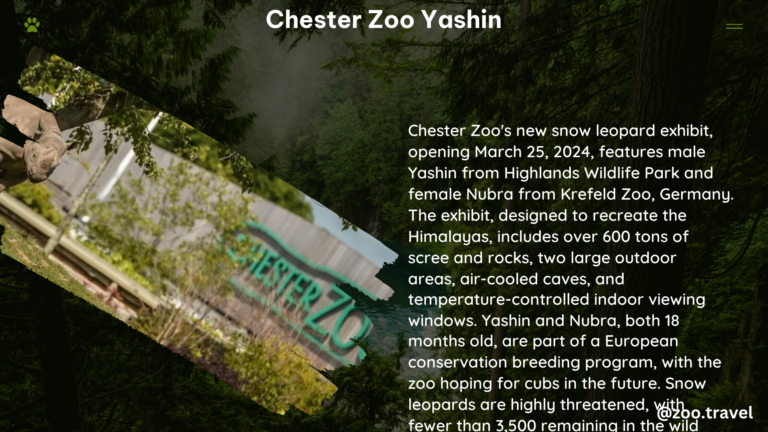 chester zoo yashin