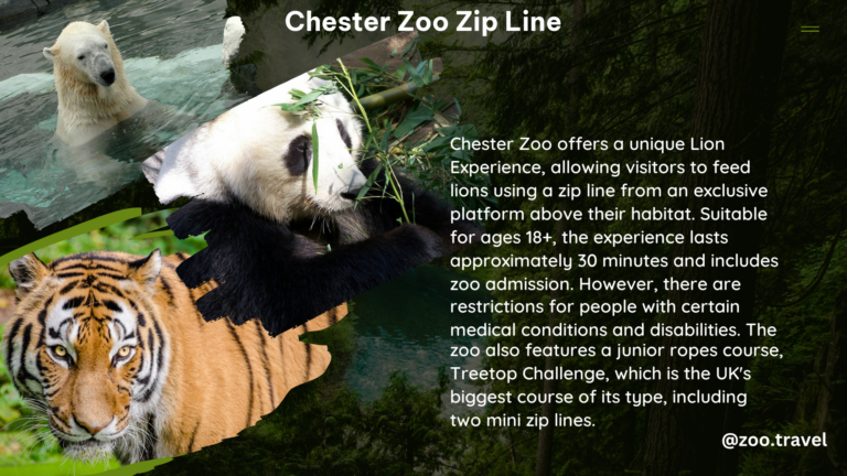 chester zoo zip line