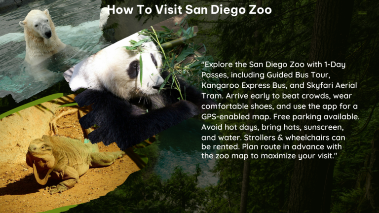 how to visit san diego zoo