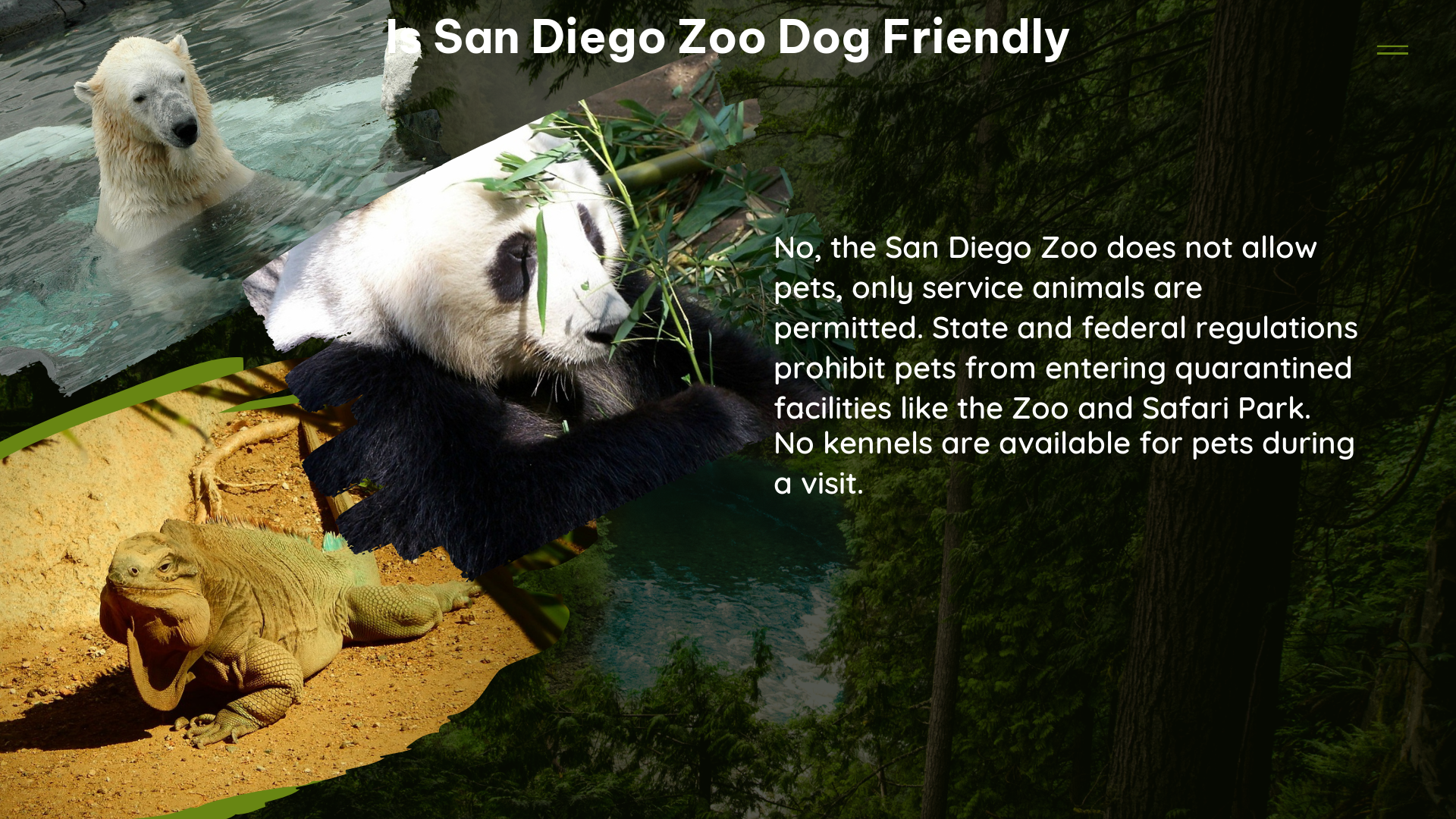 is san diego zoo dog friendly