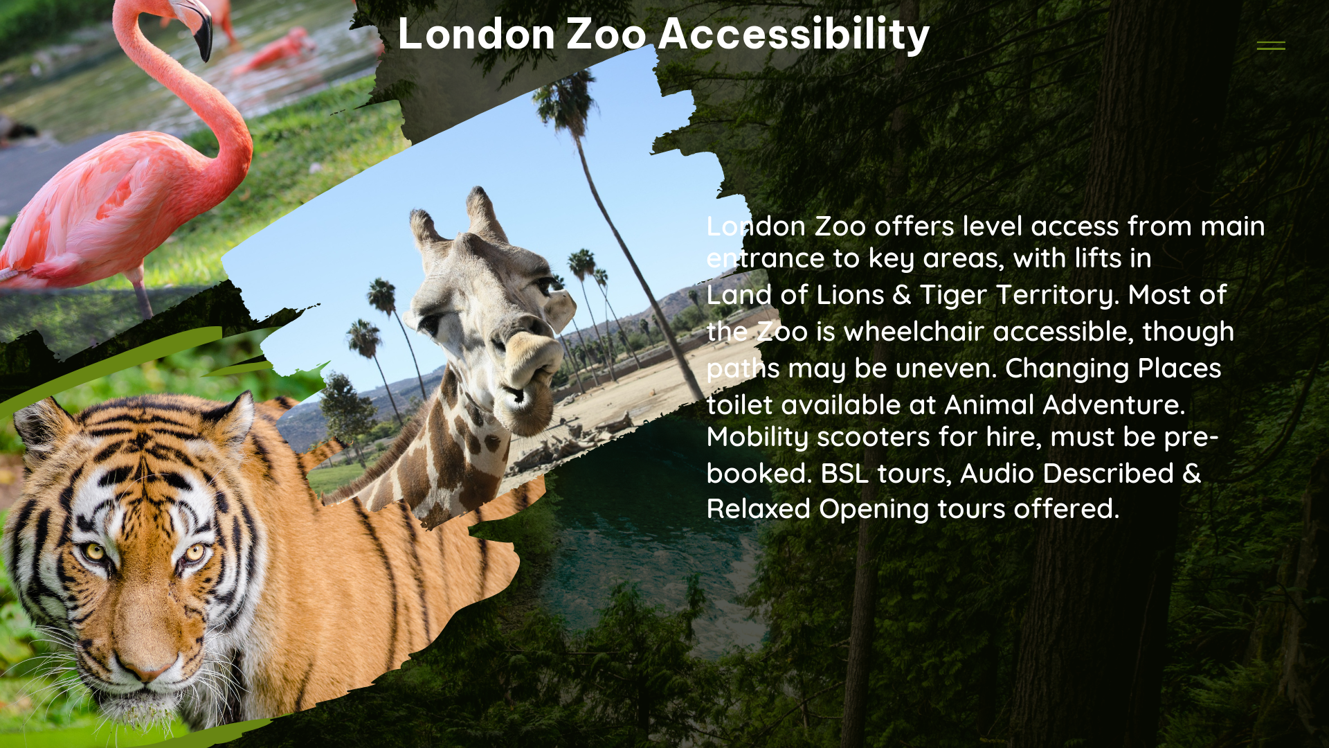 london zoo accessibility