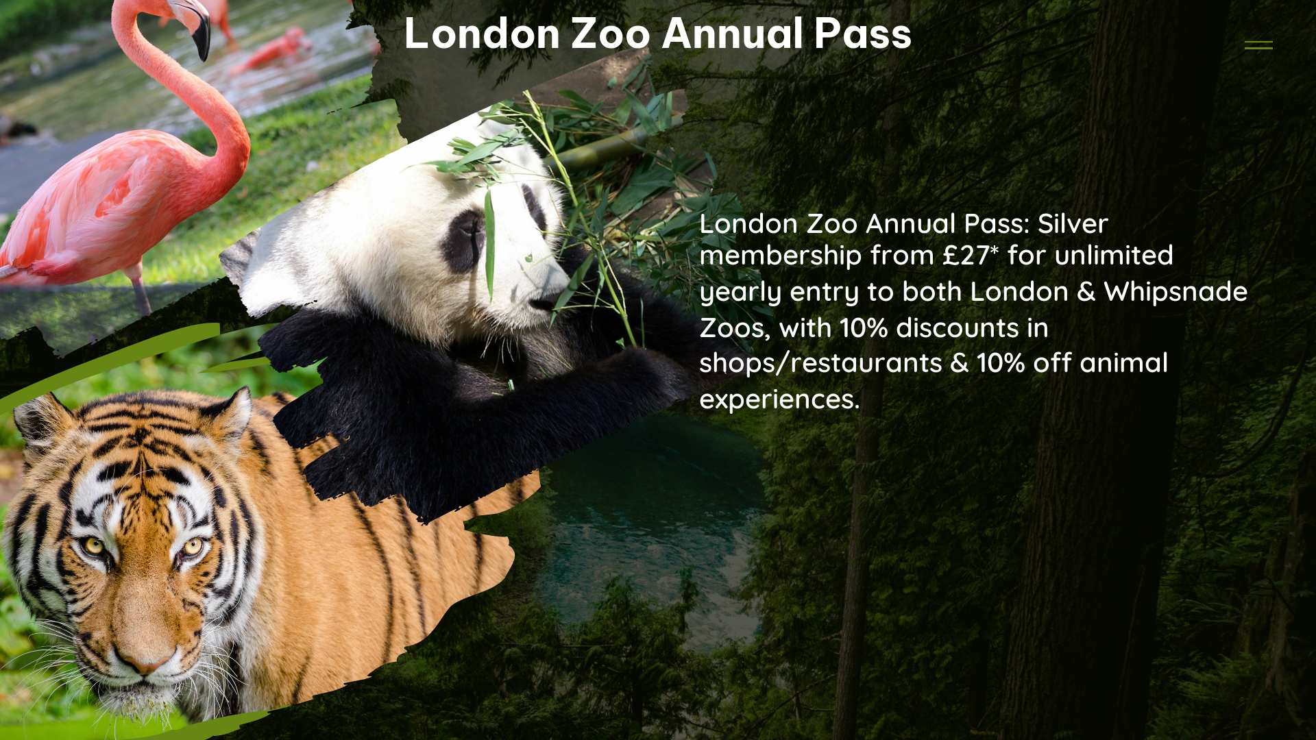 london zoo annual pass