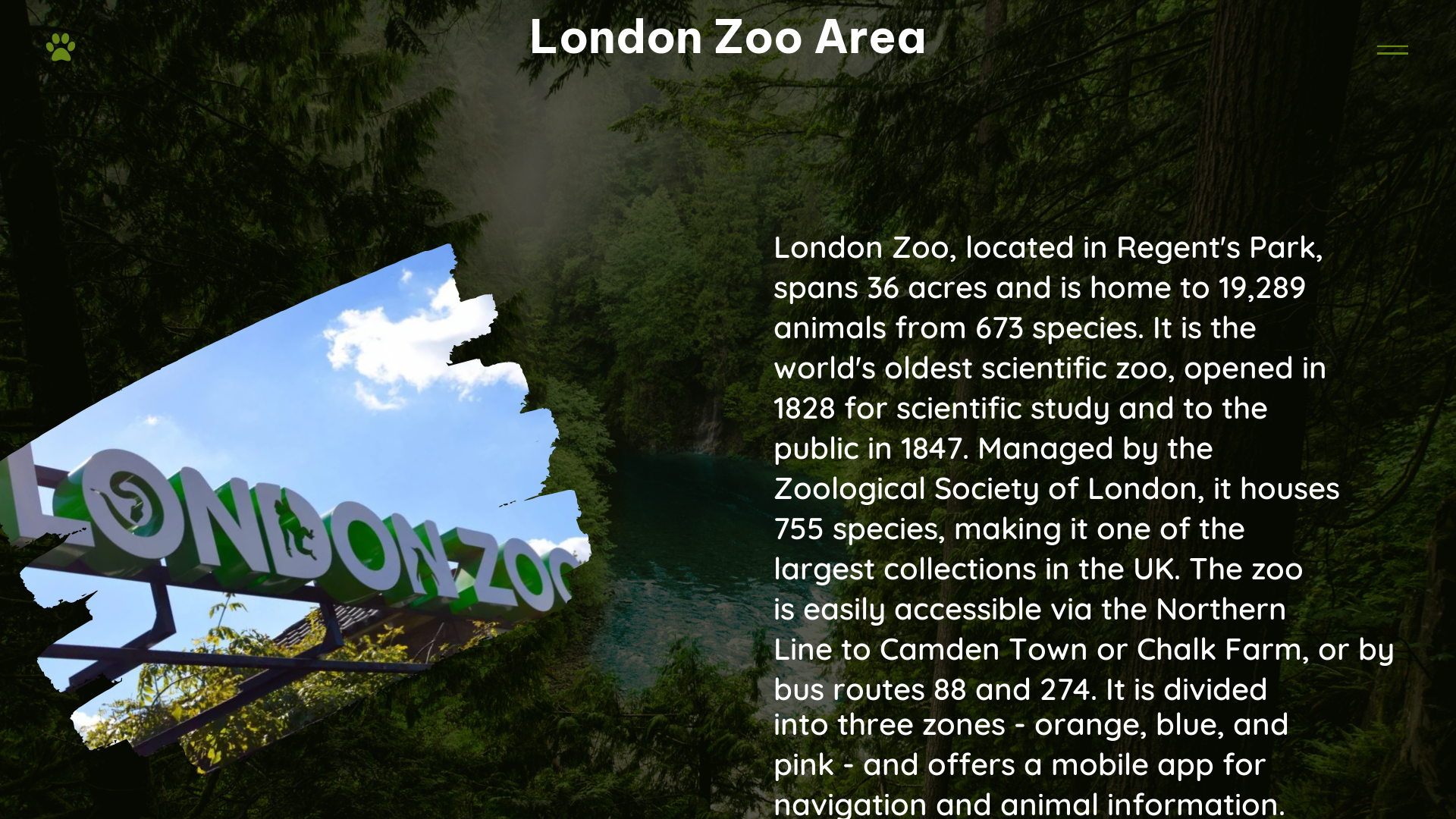 london zoo area