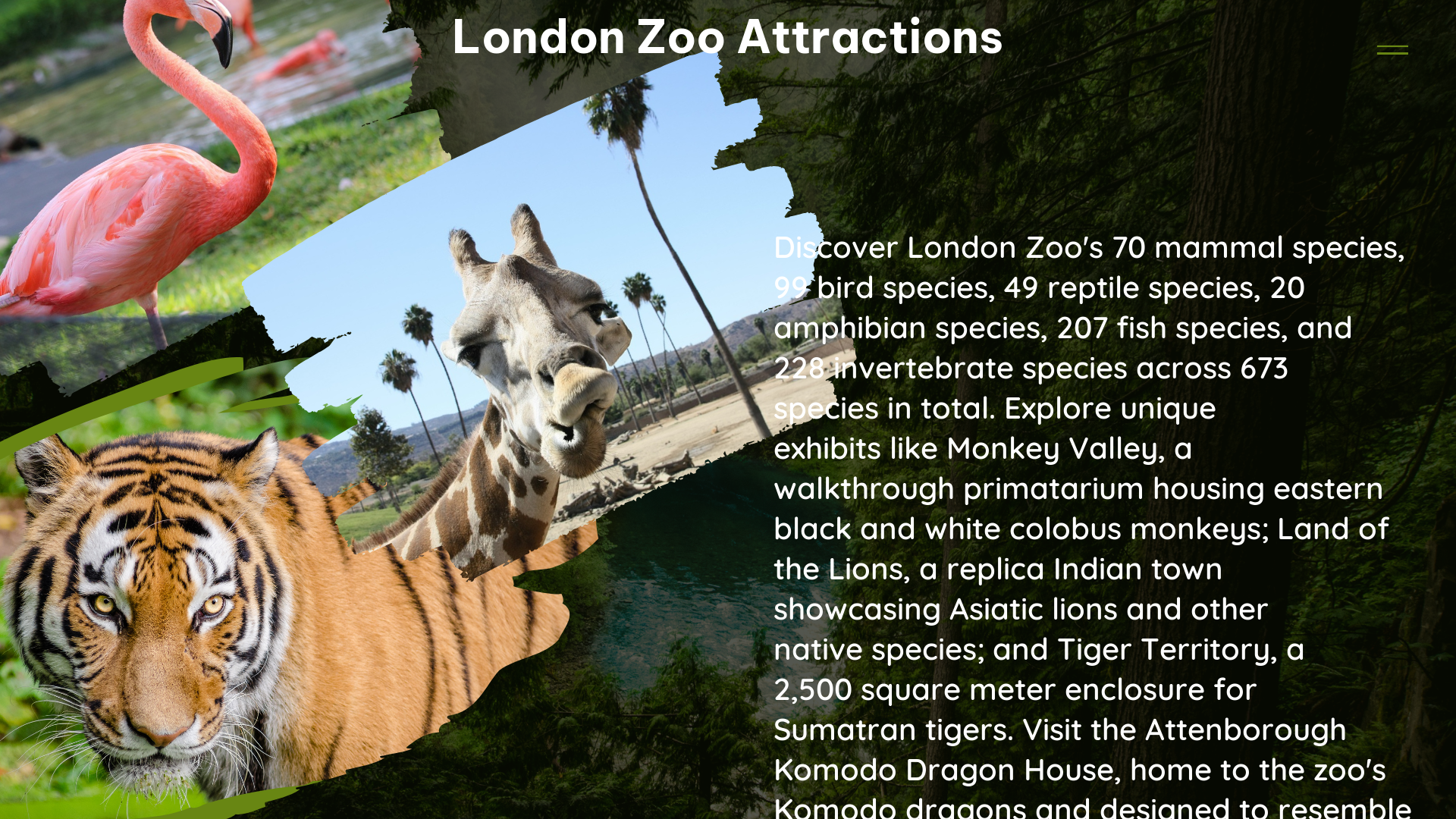 london zoo attractions