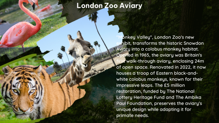 london zoo aviary