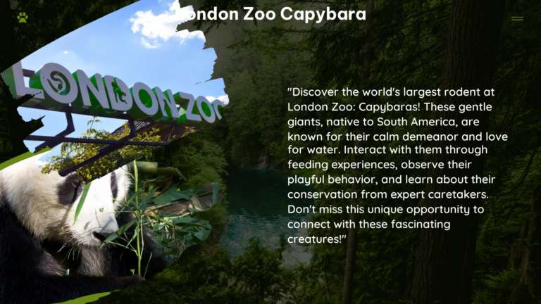 london zoo capybara