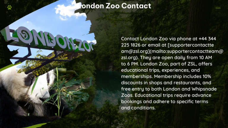 london zoo contact
